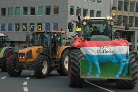 Öfkeli çiftçiler, Brüksel'i traktörleri ile felç etti