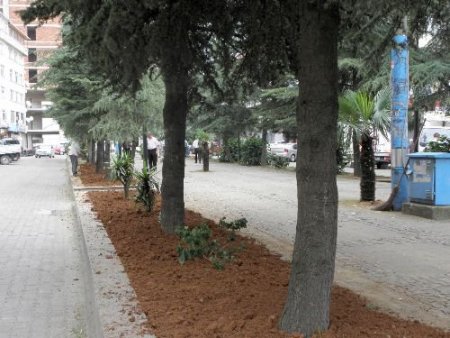 Of'ta Atatürk Bulvarı'nı Yeşillendirme Çalışmaları Başladı