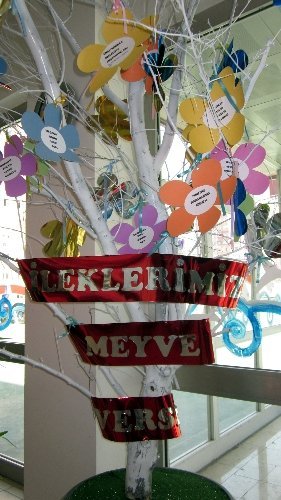 Öğrenciler, dilek ağacından beyaz eşya istedi