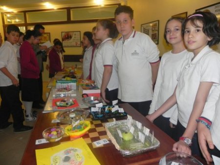 Öğrenciler, hücre modeli tasarımında yarıştı