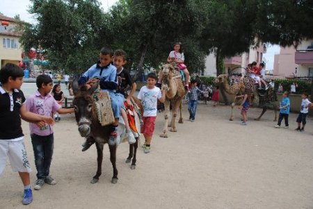Öğrenciler, okullarının pilav gününde deve turuna çıktı