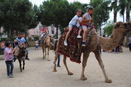 Öğrenciler, okullarının pilav gününde deve turuna çıktı