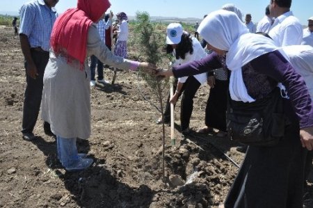 Öğrenciler, su arıtma tesisini gezdi