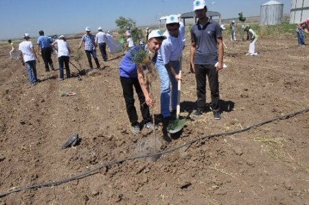 Öğrenciler, su arıtma tesisini gezdi