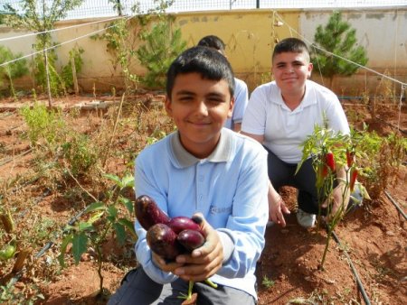 Öğrenciler, uygulama bahçesinde ürünlerini topladı
