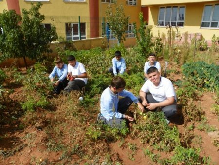 Öğrenciler, uygulama bahçesinde ürünlerini topladı