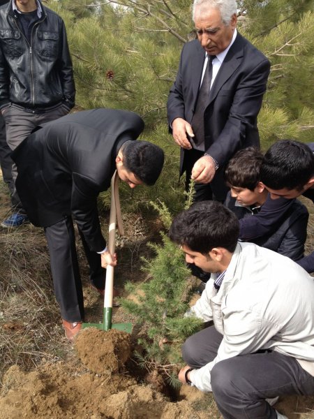 Öğrenciler ağaç dikmek için birbirleri ile yarıştı