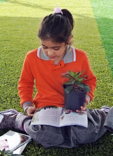 Öğrenciler çiçeklere kitap okuyor