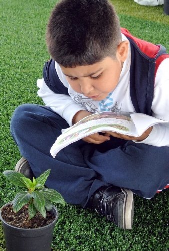 Öğrenciler çiçeklere kitap okuyor