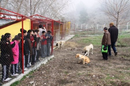 Öğrenciler harçlıklarıyla barınakta kalan hayvanlara yem aldı