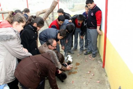 Öğrenciler harçlıklarıyla barınakta kalan hayvanlara yem aldı