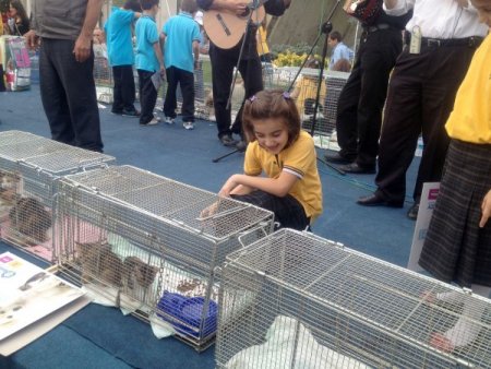 Öğrenciler'den barınak hayvanlarına büyük ilgi
