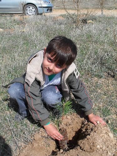 Öğrencliere Her Yıl Ağaç Sevgisi Aşılanıyor