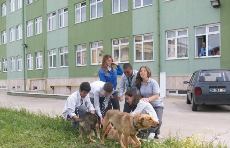 Okul Bahçesine Hayvan Kulübesi Yaptılar