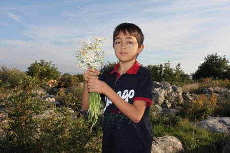 Okul harçlıklarını kayaların arasından topladıkları nergislerden çıkartıyorlar