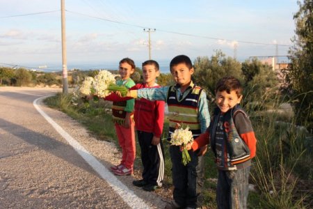 Okul harçlıklarını kayaların arasından topladıkları nergislerden çıkartıyorlar