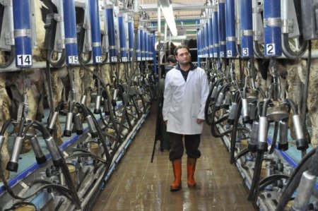 'Okul sütü projesi üreticiye nefes aldıracak' (Özel)