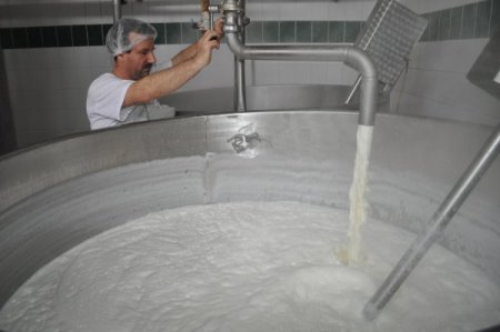 'Okul sütü projesi üreticiye nefes aldıracak' (Özel)