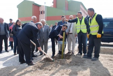 Okulda Bir Dikili Ağacın Olsun Projesiyle Ağaçsız Okul Kalmayacak