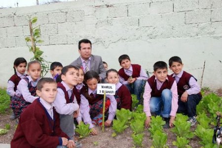 Okulda Yetiştirdikleri Sebzelerin Parasıyla Sınıflarına Kütüphane Kurdular