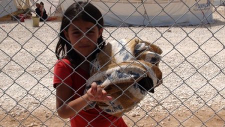 Okullara sığınan mülteciler için yeni kamplar 10 güne hazır