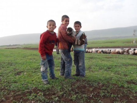 Okulların açılacak olmasına en çok çoban öğrenciler seviniyor