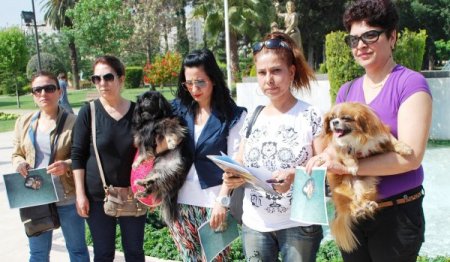 Ölen Sokak Köpeği İçin Otopsi Yapılmasını İstedi