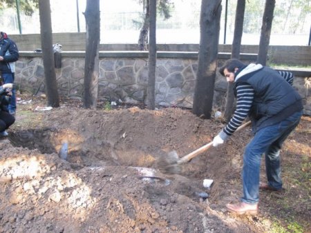 Ölen yunusun iskeleti bilime hizmet edecek