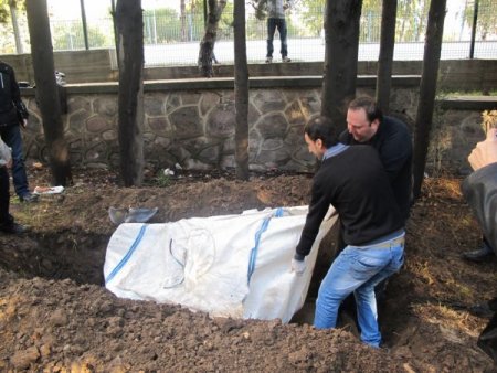 Ölen yunusun iskeleti bilime hizmet edecek