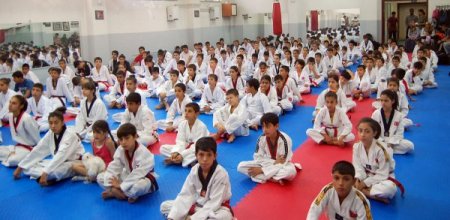 Olimpiyatlarda gelen madalyalar tekvandoya olan ilgiyi artırdı