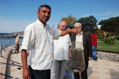 Olta İle 2 Metrelik Yılan Balığı Yakaladı