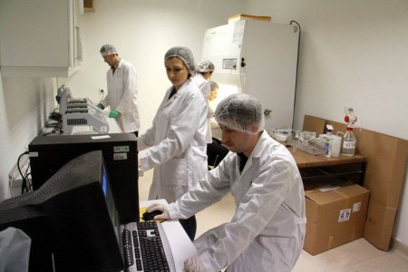 OMÜ Ziraat Fakültesi öğrencileri, doku kültürüyle virüssüz bitki üretti