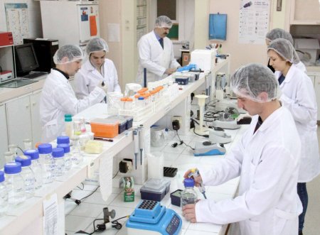 OMÜ Ziraat Fakültesi öğrencileri, doku kültürüyle virüssüz bitki üretti