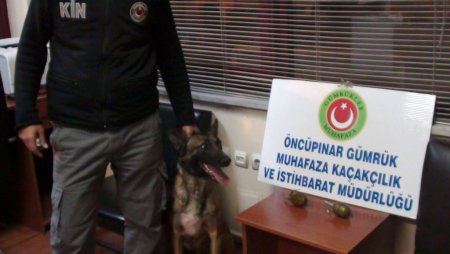 Öncüpınar Sınır Kapısı'nda 3 adet el bombası ele geçirildi