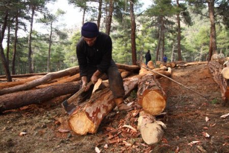 Onlar da orman içindeki geri dönüşümcüler