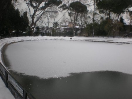 Ördekler, Buz Tutan Gölde Mahsur Kaldı