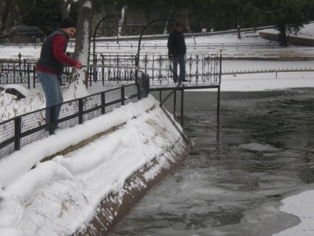 Ördekler, Buz Tutan Gölde Mahsur Kaldı