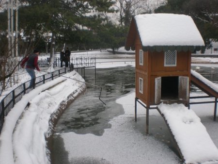 Ördekler, Buz Tutan Gölde Mahsur Kaldı