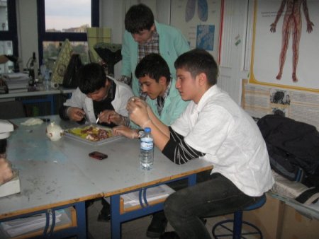 Ordu Bilim Sanat Merkezi, Çocukların Yeteneklerini Keşfetmelerini Sağlıyor