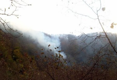Ordu Kumru'da Dört Köyün Ormanlık Alanında Çıkan Yangın Devam Ediyor