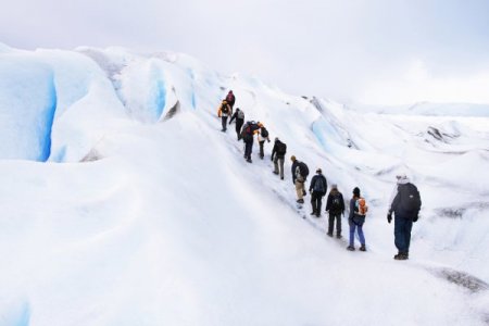 Organ nakline dikkat çekmek için buzul maratonunda koşacak