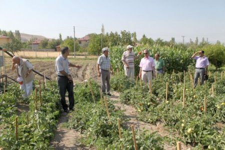 Organik Canlı Gübre İle Yüzde 30’un Üzerinde Organik Ürün Elde Edildi