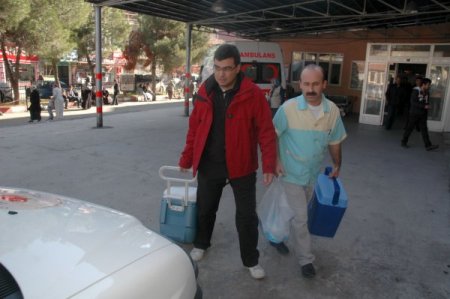 Organları, 5 kişiye nakledilecek