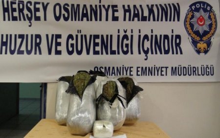 Örgüt bağlantılı uyuşturucu tacirleri tutuklandı