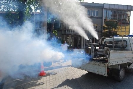 Orhaneli’nde ilaçlama çalışmaları başladı