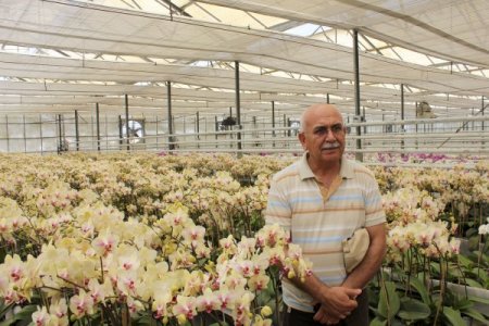 Orkideler Anneler İçin Hazırlandı