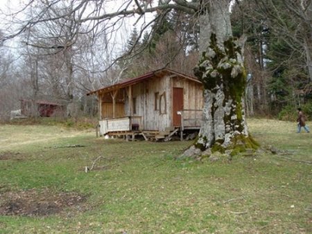 Orman alanı içindeki yayla evleri için vatandaş kira ödeyecek