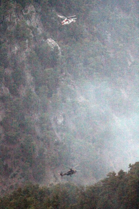 Orman Bölge Müdür Yardımcısı Dikici: Ekipler Anında Müdahale Etti