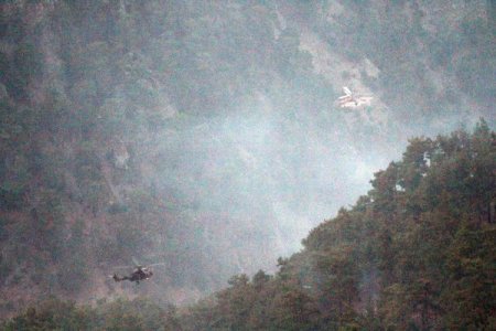 Orman Bölge Müdür Yardımcısı Dikici: Ekipler Anında Müdahale Etti