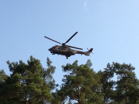 Orman Bölge Müdür Yardımcısı Dikici: Ekipler Anında Müdahale Etti